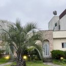 지에스(GS)25제주화순 이미지