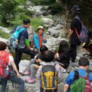 야호캠프 이미지