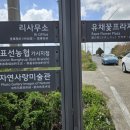 표선농업협동조합가시지점 이미지