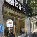 빵실 | 🐶✂️ 논산 강아지미용 정착! 몽실쌀롱 말티즈 미용 후기
