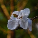 아침풍경 이미지