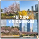 (주)아이,이,아이 | 인천 센트럴파크 4월 첫째주 벚꽃개화상태 아이와 주말나들이 후기