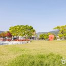 을숙도 생태공원 이미지