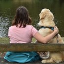 율동물의료센터 이미지