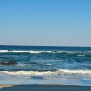 야자수펜션 스파오션뷰 | 묵호 어쩌다어달 403호 오션뷰 펜션 : 내돈내산 동해 오션뷰 스파 숙소 가격 후기