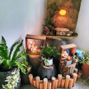 점봉산산채산나물천국 이미지