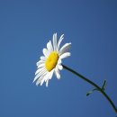 낙동강체육공원 어린이놀이터 이미지