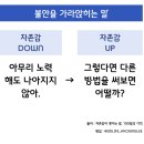 [책속문장] 자존감이 쌓이는 말,100일의 기적