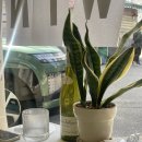 청구식당 | 청구역 샐러드 맛집 이탈리아 식당 베르도네신당