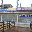 해월로 | 제4회 부여 정월대보름축제 현장｜백마강테마파크와 삼부자뷔페 뷔페 점심 후기