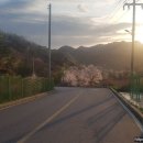 에코랜드수영장 축구장 이미지