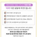 백석안경 이미지