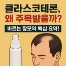 클라스코인 이미지