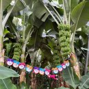 전라남도 농업박물관(테마공원 이동식 화장실) | [전라남도 보성군] 초루