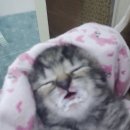 플러스 킹뽑기 | 시간은 멈추지 않으니 당신의 불완전한 삶을 계속 살아가세요