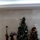 서울여성병원 | 부천 서울여성병원 진료 후기입니다.