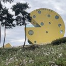 관촌콩나물 이미지