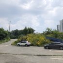 삼가초등학교 앞 이미지