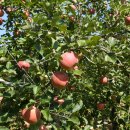 연당4리마을회관 이미지