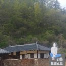 리틀포레스트 이미지