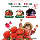 딸기 티스토리