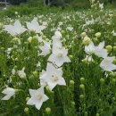 으뜸2농장 이미지