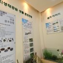 수지생태공원 이미지