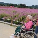 효녀심청이여 지극정성으로 엄마 모시는 셋째언니~양주나라농원 박일홍축제 나들이#가수남순TV# 이미지