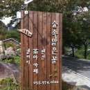 숲속맑은꼴