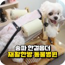 한걸음 동물병원 이미지