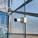 시골농장 이미지