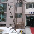 경기도 수원시 팔달구 권광로317번길 12 (인계동, 선경아파트) 이미지