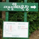 나실목장 이미지