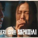 연애하는 청춘 이미지