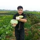 이수표농장 이미지