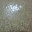 정민농장 이미지