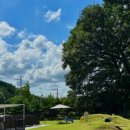 서울역촌유치원 이미지