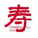 남극노인성 이미지