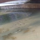 우시장천 이미지