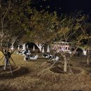 달빛맥주 죽림점 | [축제] 지역민 입장에서 본 지역축제(고창/ 제 50회 고창모양성제/가을/먹거리/드론 공연)