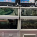 원조본가산곰장어집 이미지