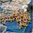 명신상회 | 안양 평촌 농수산물도매시장 맛집 명신수산 모둠회 수복상회 백골뱅이 내돈내산 후기