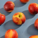 숙희농장 이미지