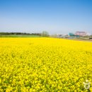 (주)안성목장 이미지