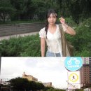 씨유종로세운상가점 | 종로 세운상가 빈티지 디카 구매후기 가게 비교분석 색감 예쁜 디카 추천