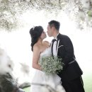 M 스튜디오 Daum카페