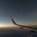 하은식품 | 🇯🇵