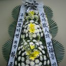 (주)프로디젠 이미지