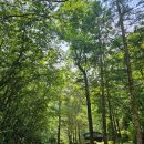 구곡폭포 캠핑장 이미지