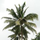 Y골프아카데미 이미지